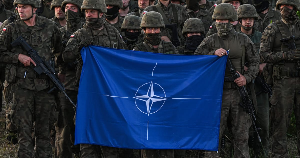 NATO Güvenlik İçin Var, Dolar ve Centler İçin Değil – POLITICO